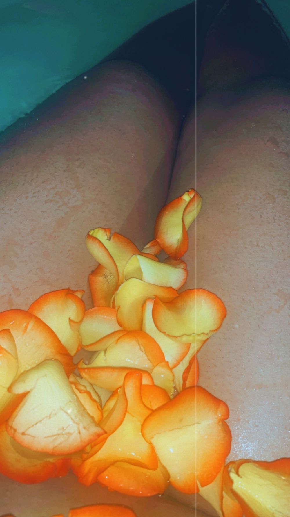sexxybabe7 OnlyFans profile picture