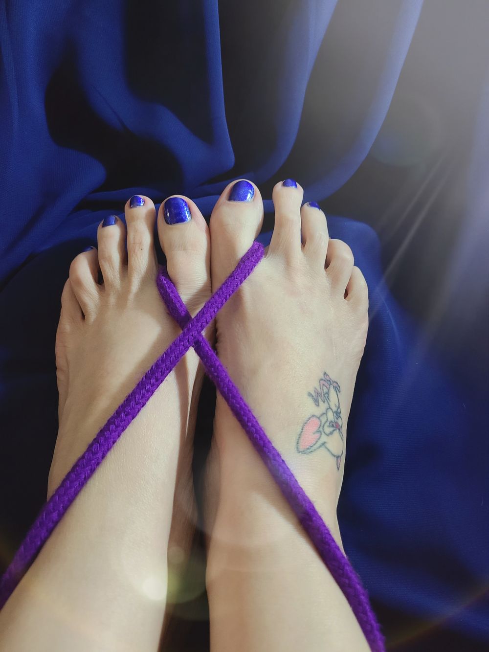 montyrosefeet OnlyFans profile picture