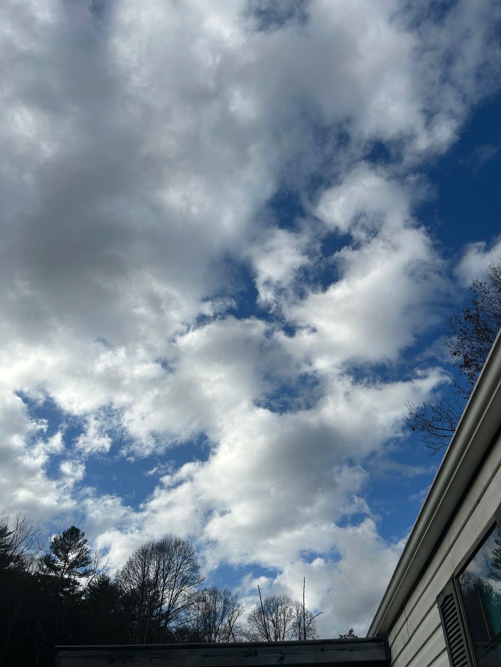 rickilove1 OnlyFans profile picture