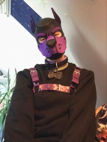 axujlec OnlyFans profile picture