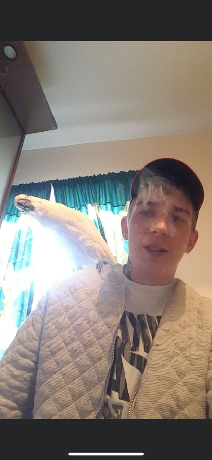 wetwilly1989 OnlyFans picture