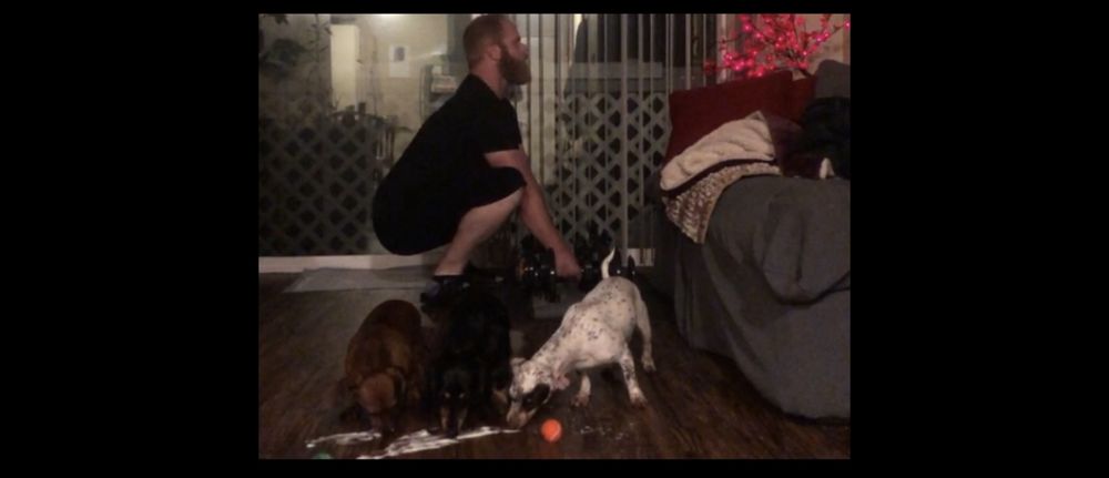 dogdilf OnlyFans profile picture