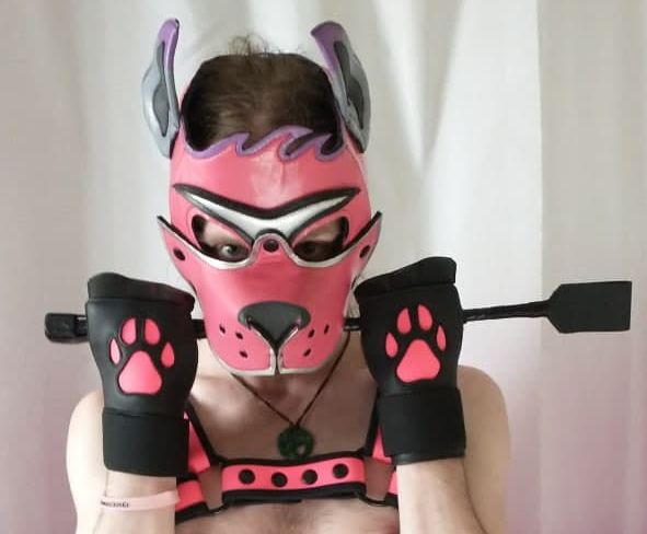 avalonthek9 OnlyFans profile picture