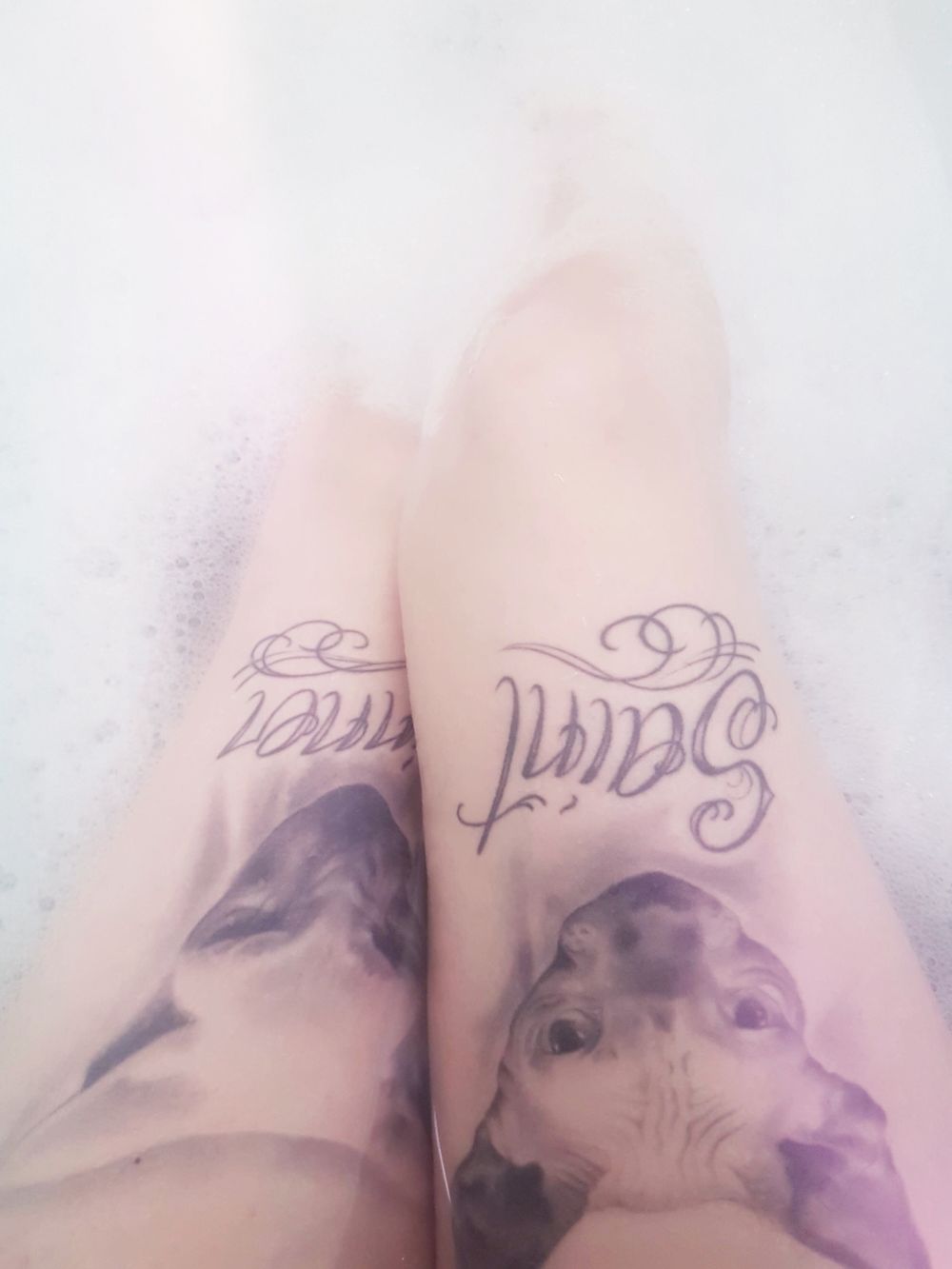 victoria.nakink OnlyFans profile picture