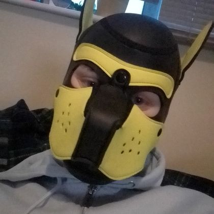 pupyellow OnlyFans picture