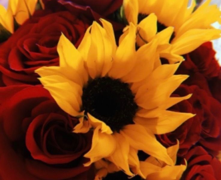 mrs_sunflower1 OnlyFans profile picture