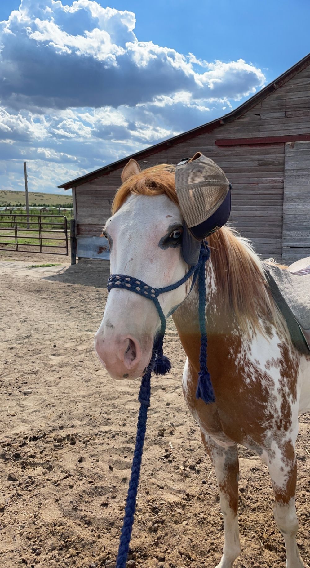 wannabe_cowboy OnlyFans profile picture
