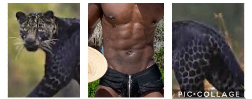 semi.sweet OnlyFans profile picture