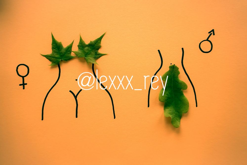 lexxx_rey OnlyFans profile picture