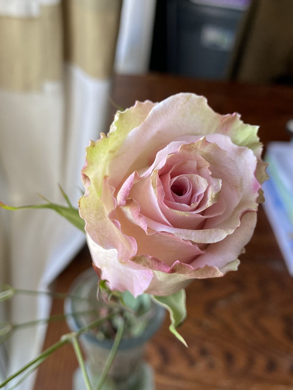 gingerflowerchild OnlyFans profile picture
