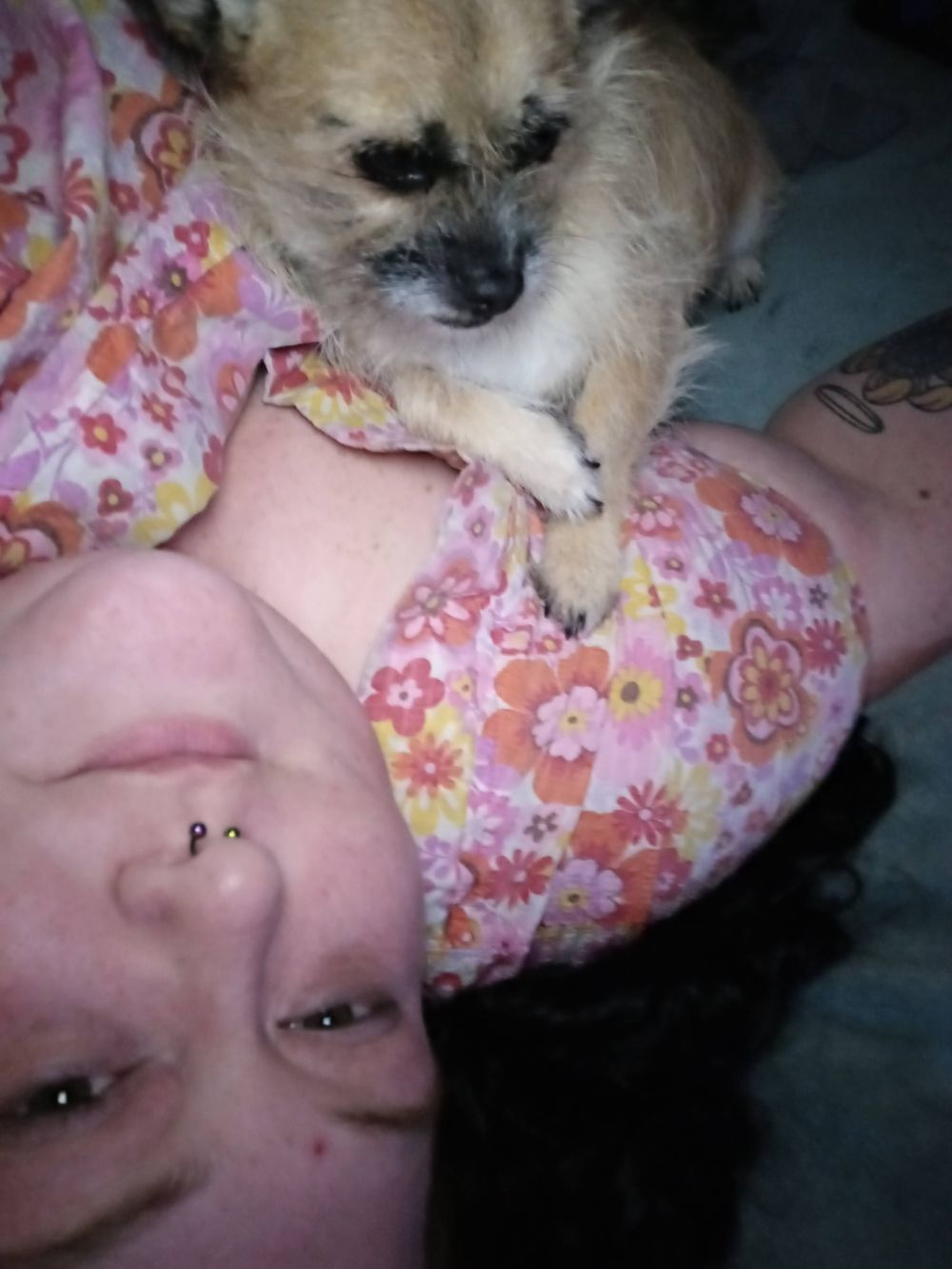 candybubble OnlyFans profile picture