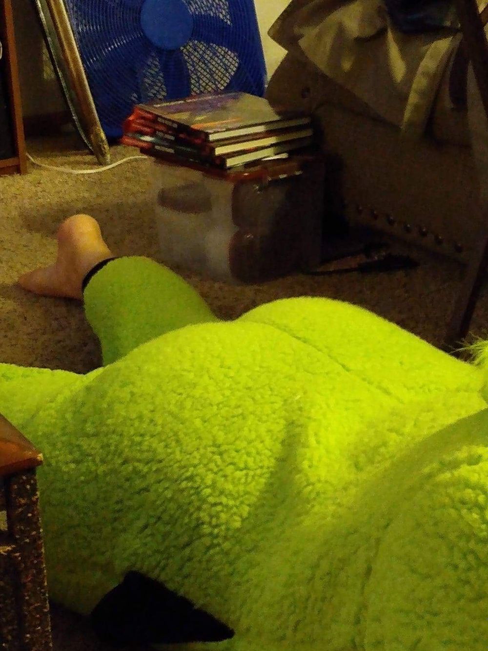 tantalusthetriviawizard OnlyFans profile picture