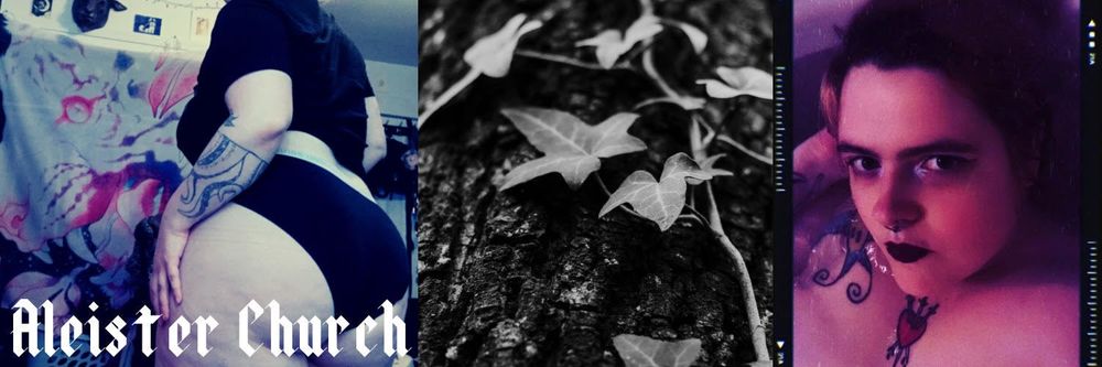 enchantingaleister OnlyFans profile picture