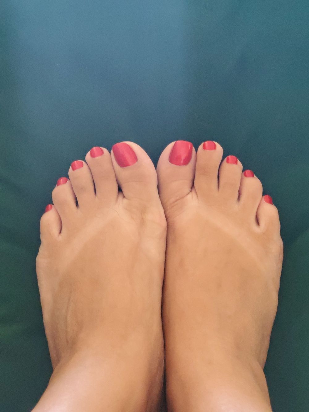 jennythecutie OnlyFans profile picture
