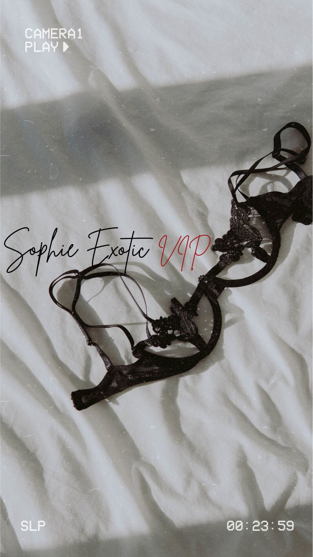 sophieexoticvip OnlyFans profile picture