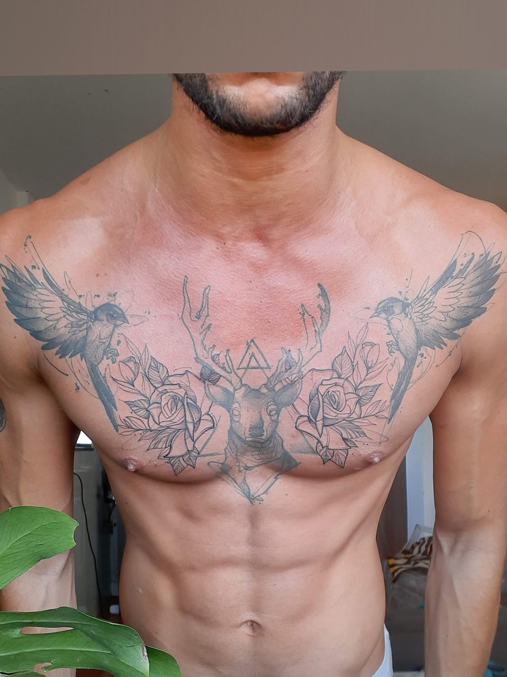 carloto OnlyFans profile picture