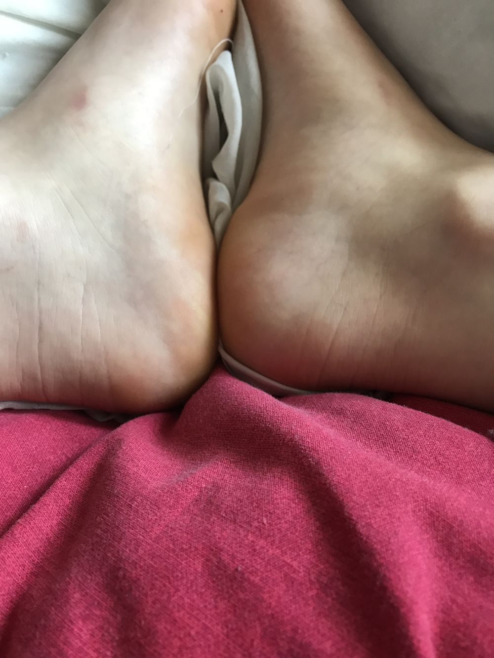 thislittlepiggii OnlyFans profile picture