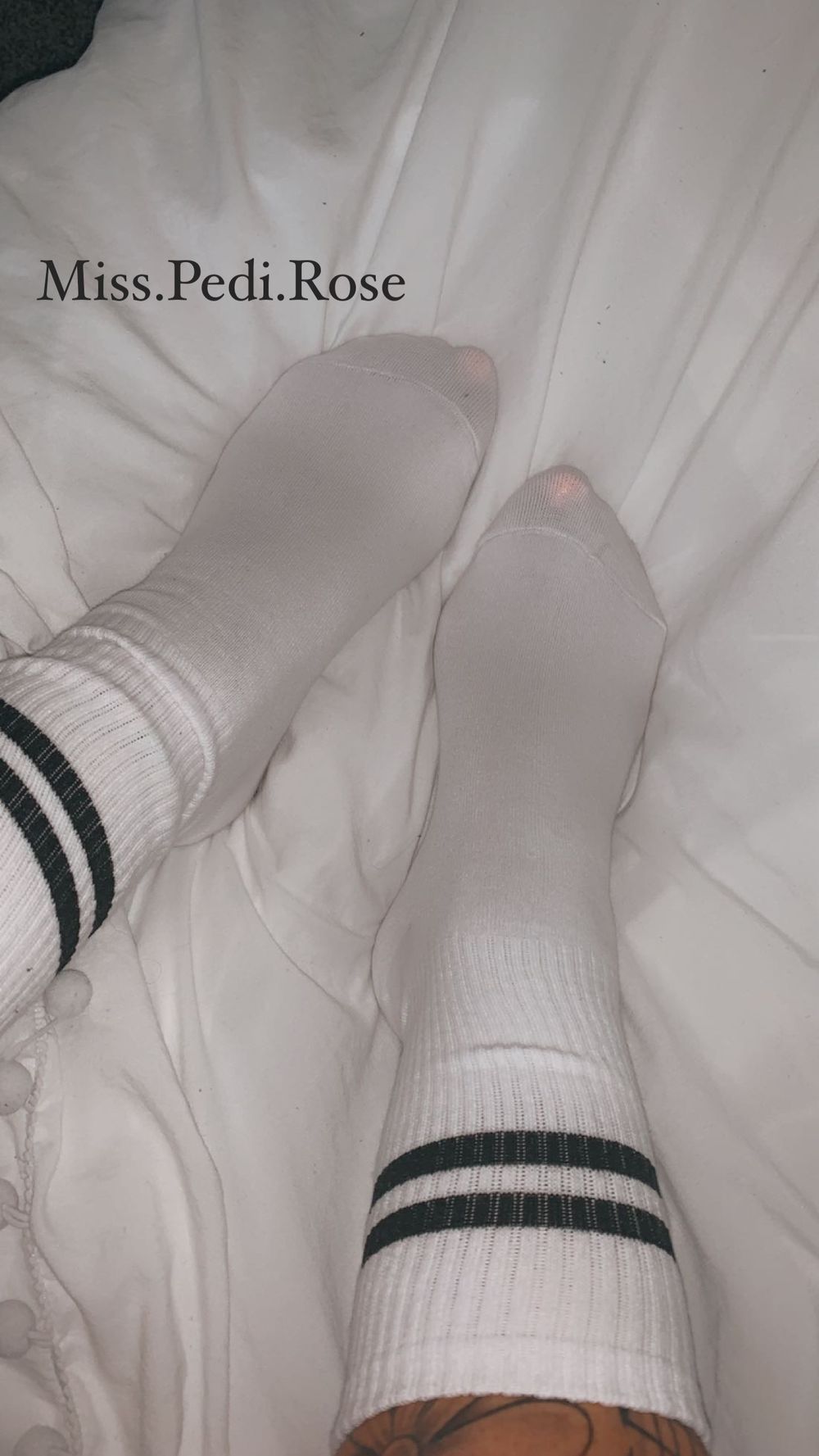 miss.pedi.rose OnlyFans profile picture
