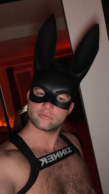 harsesys OnlyFans picture