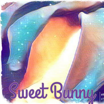 sweetbunnyhun OnlyFans picture