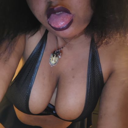 shybear666 OnlyFans picture
