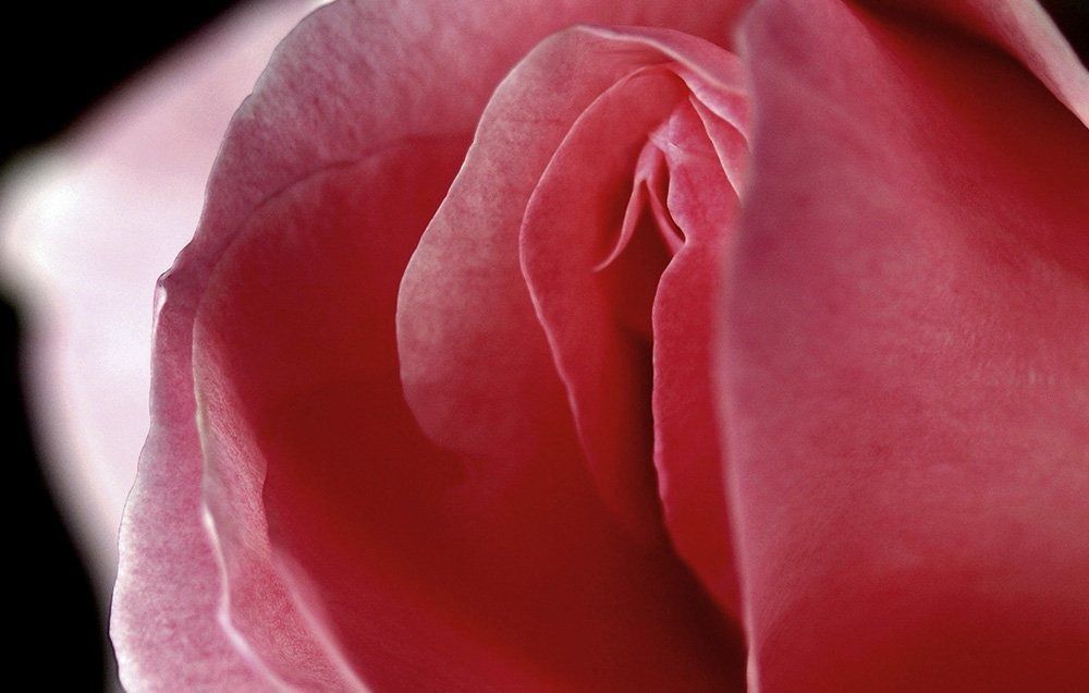 sensualmistress OnlyFans profile picture