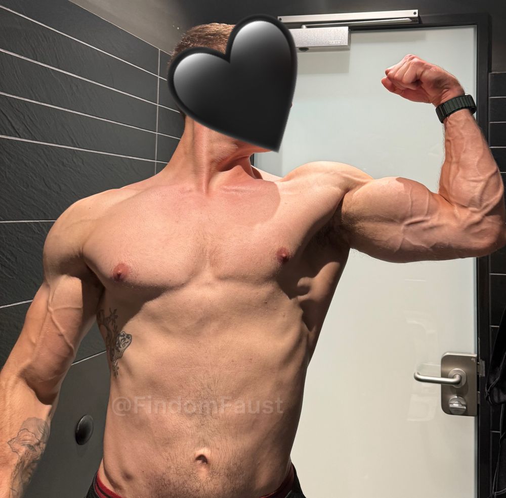 findomfaust OnlyFans profile picture