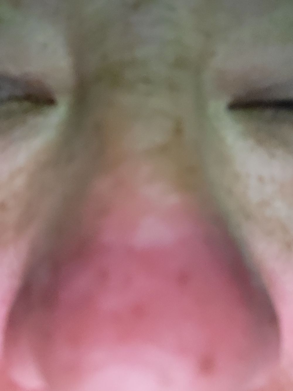 willydadbod OnlyFans profile picture