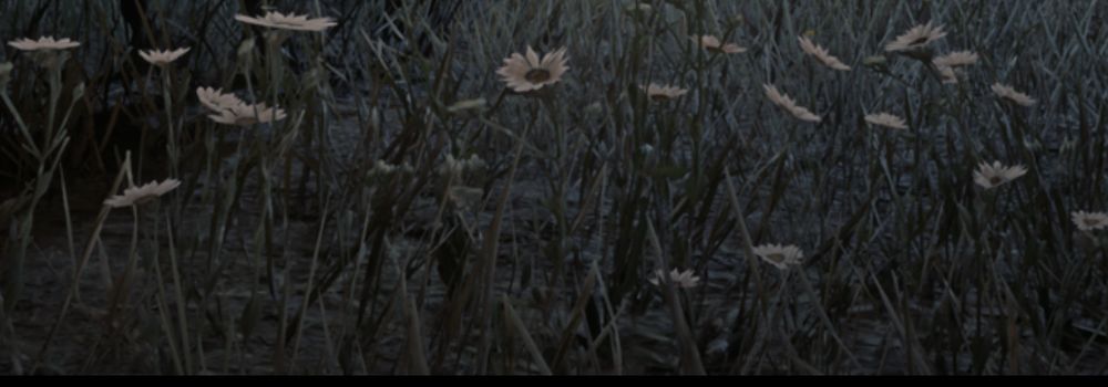 vintagexchrysanthemum OnlyFans profile picture