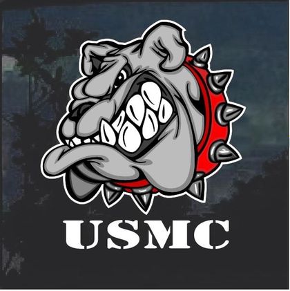 usmarinevet23 OnlyFans picture