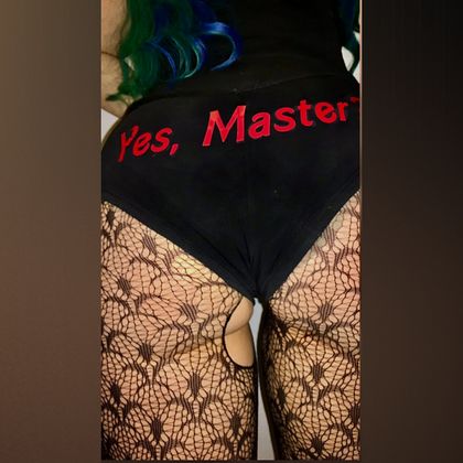 metalgearkitten_free OnlyFans picture