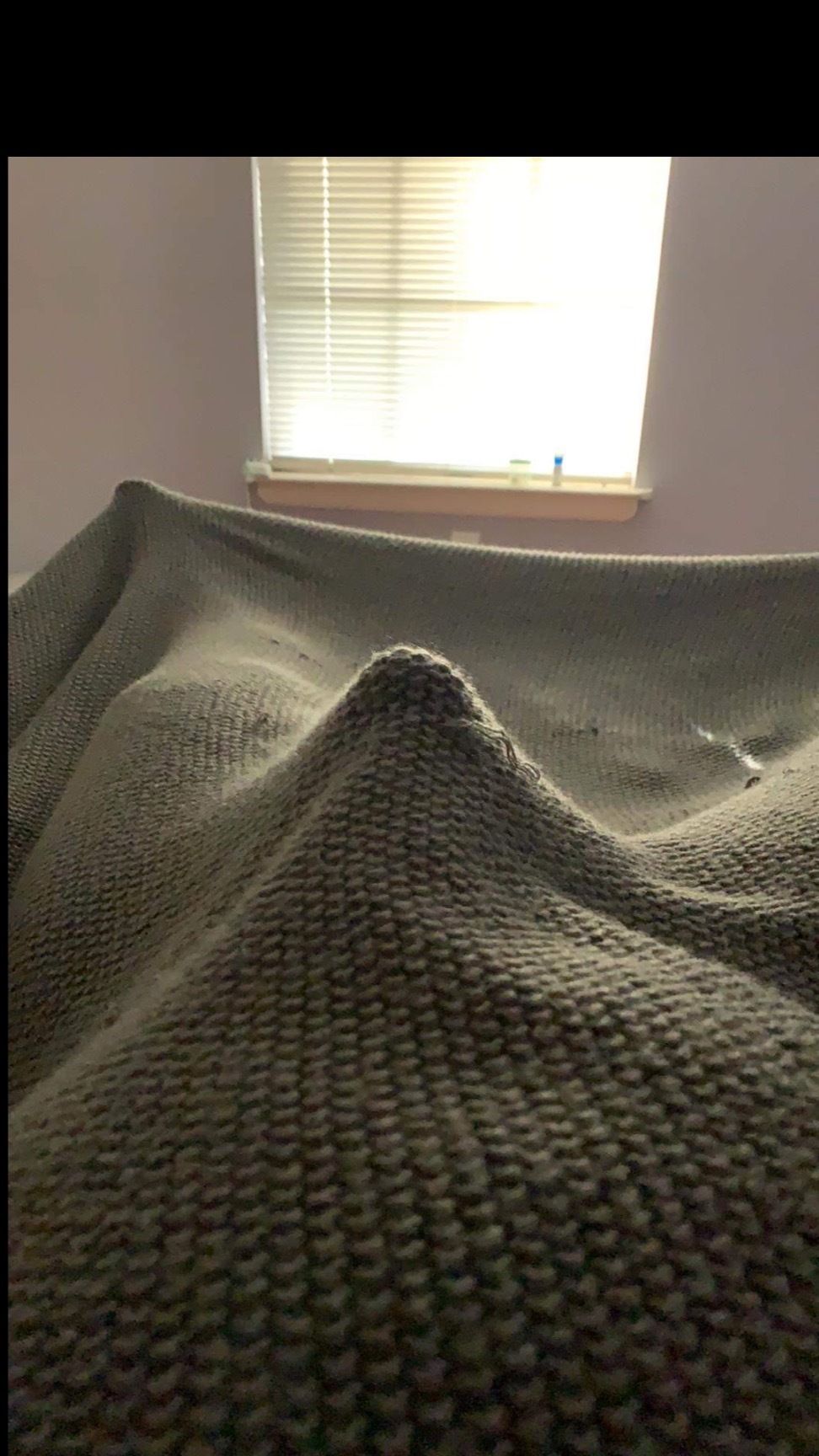 m_penguin OnlyFans profile picture