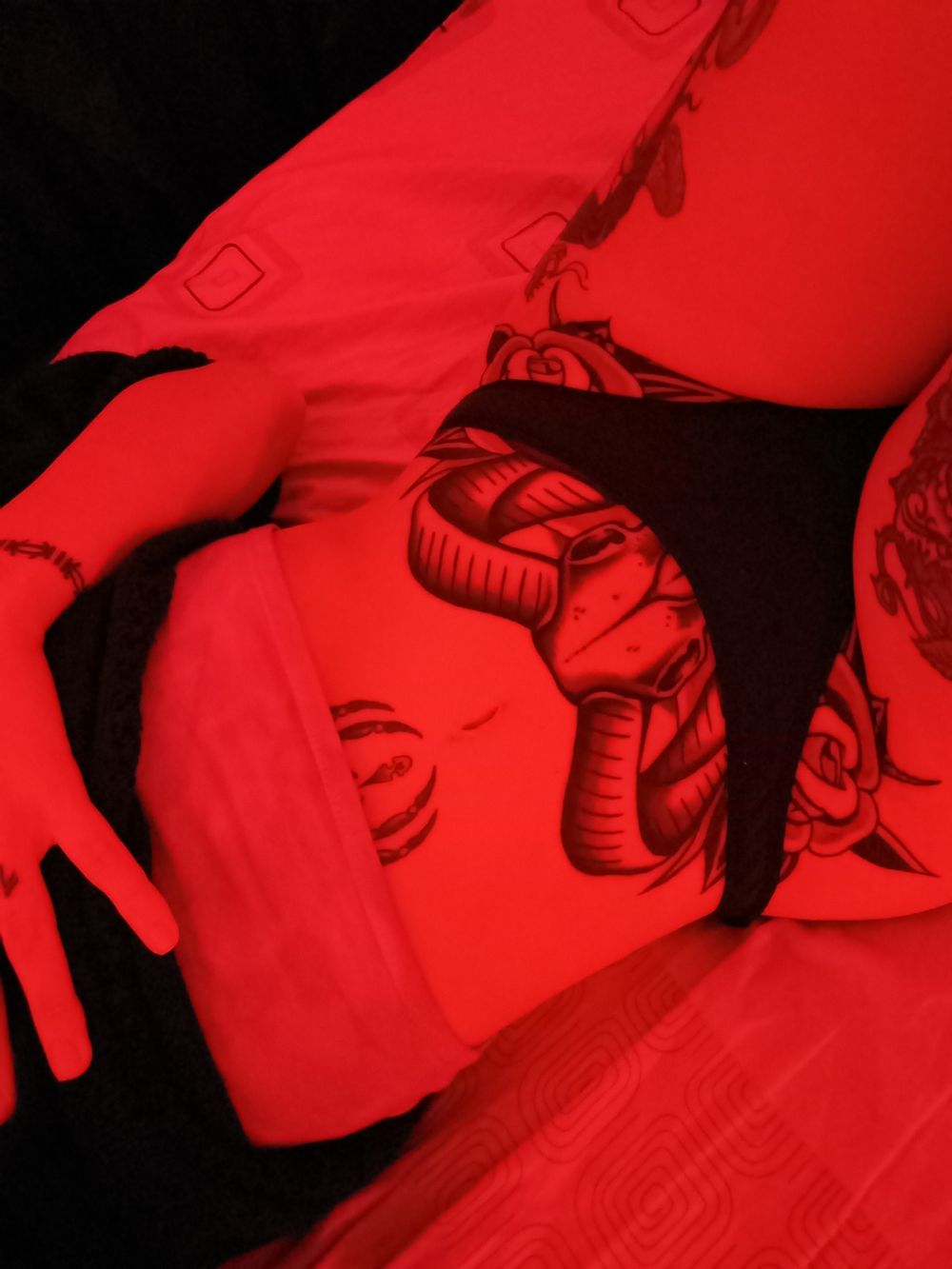 notarabella OnlyFans profile picture