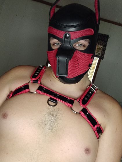 daggerpup1101 OnlyFans picture