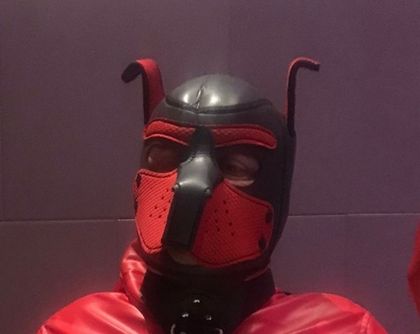 barudesary OnlyFans picture