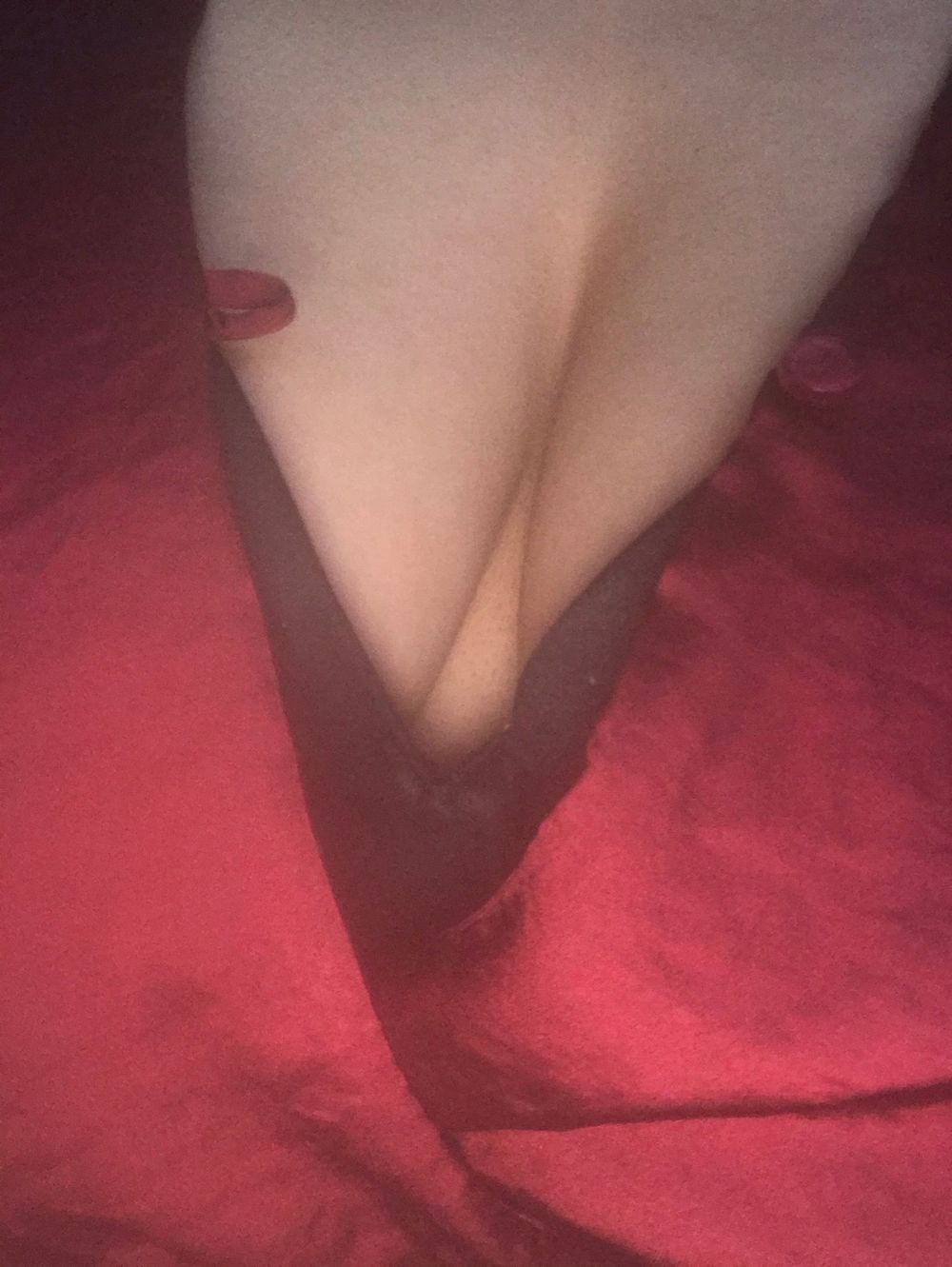 hamtarokunai OnlyFans profile picture