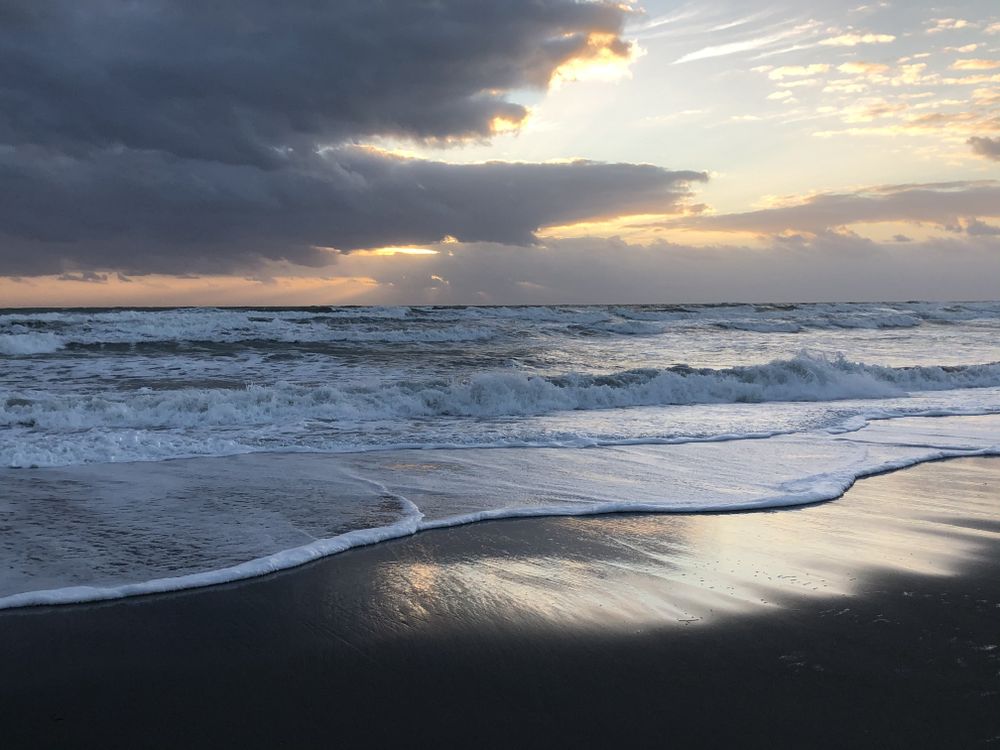 floridaflirtygirl OnlyFans profile picture