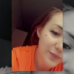 毛王栖息地 gif