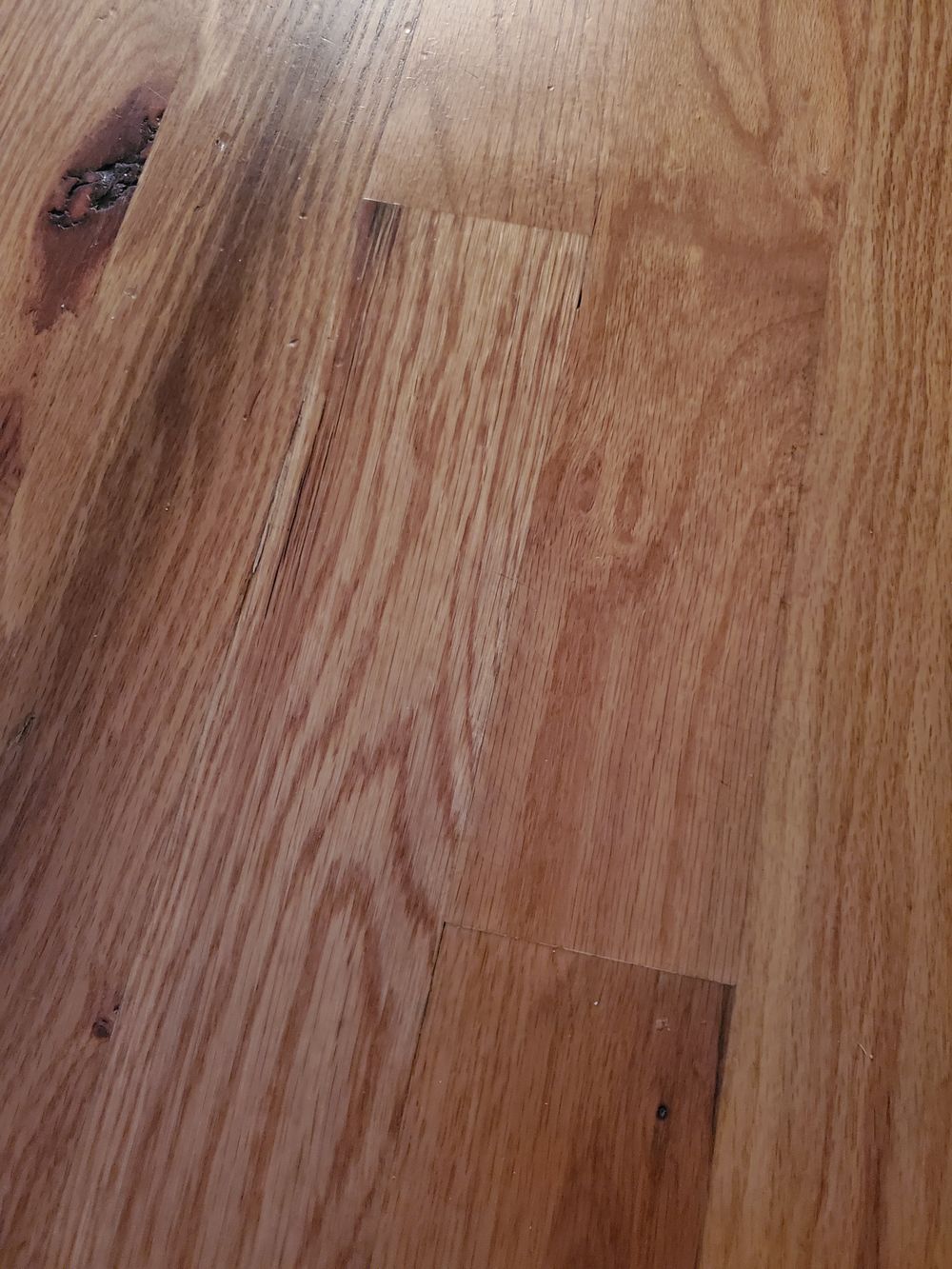 preggomamafeet OnlyFans profile picture