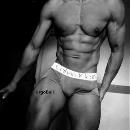 urgobull OnlyFans picture