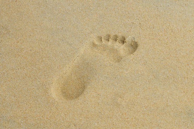 iryssfeet OnlyFans profile picture