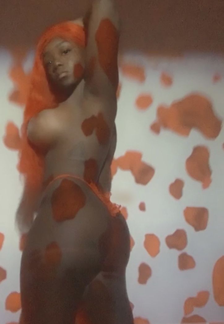 kvshyrose OnlyFans profile picture