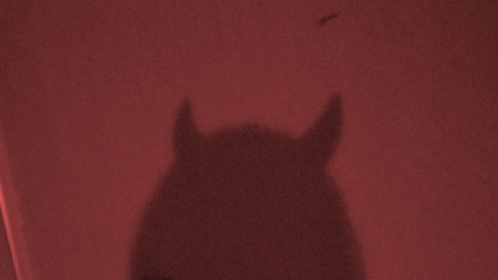 horrnykika OnlyFans profile picture