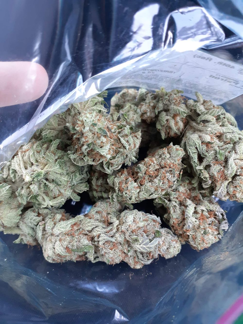 sunflowereyes420 OnlyFans profile picture