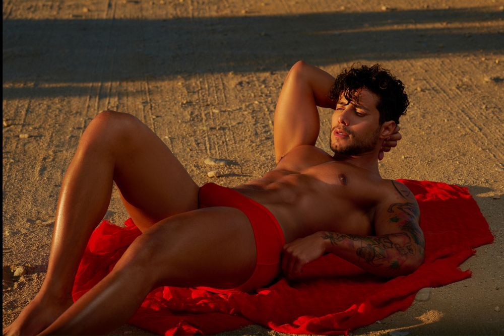 renatoshippee OnlyFans profile picture