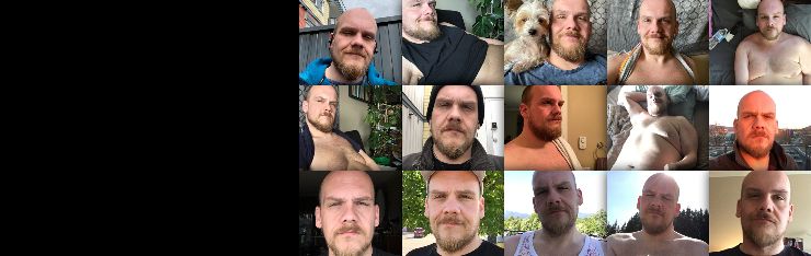bearstevebare OnlyFans profile picture