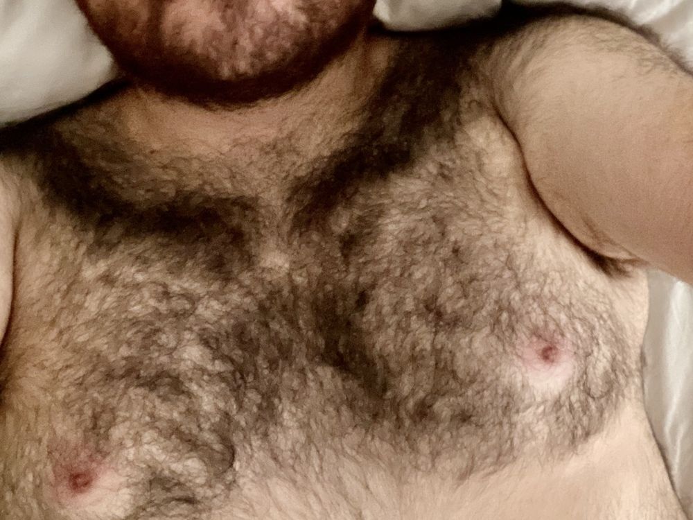 elabear OnlyFans profile picture