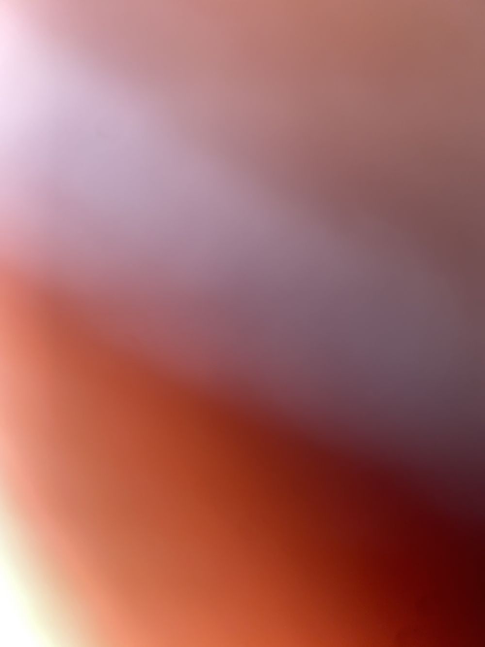 deesfeet4u OnlyFans profile picture