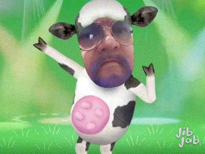 strippercow OnlyFans profile picture
