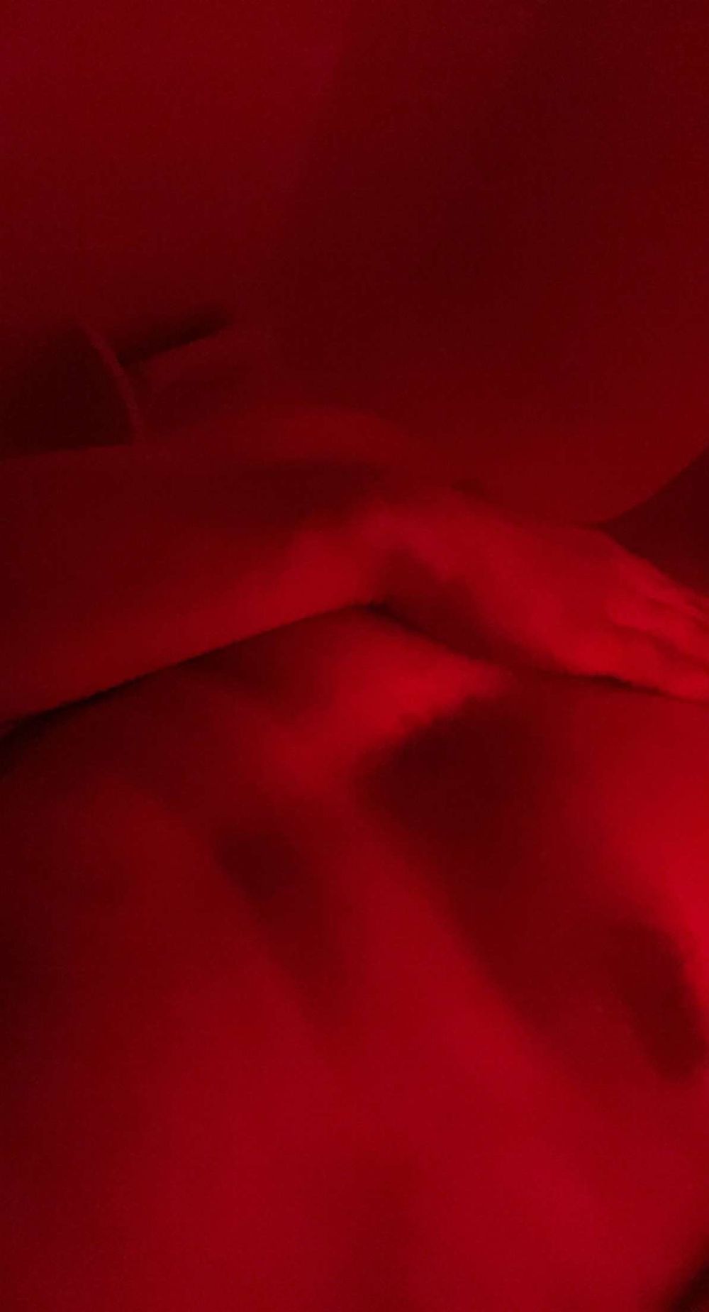 littlenudle OnlyFans profile picture